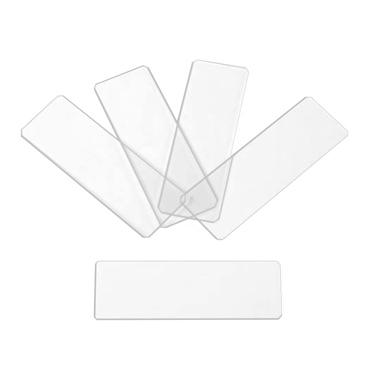Microscope Slides